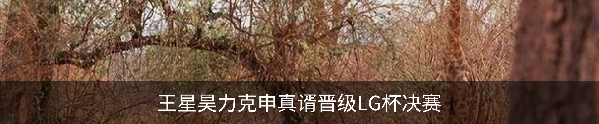 新闻中心